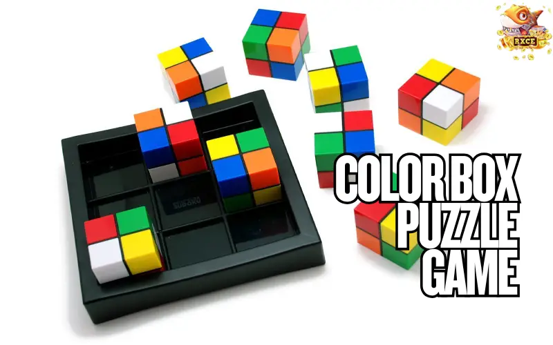 Color Box Puzzle Game