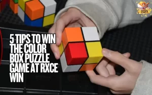 Color Box Puzzle Game