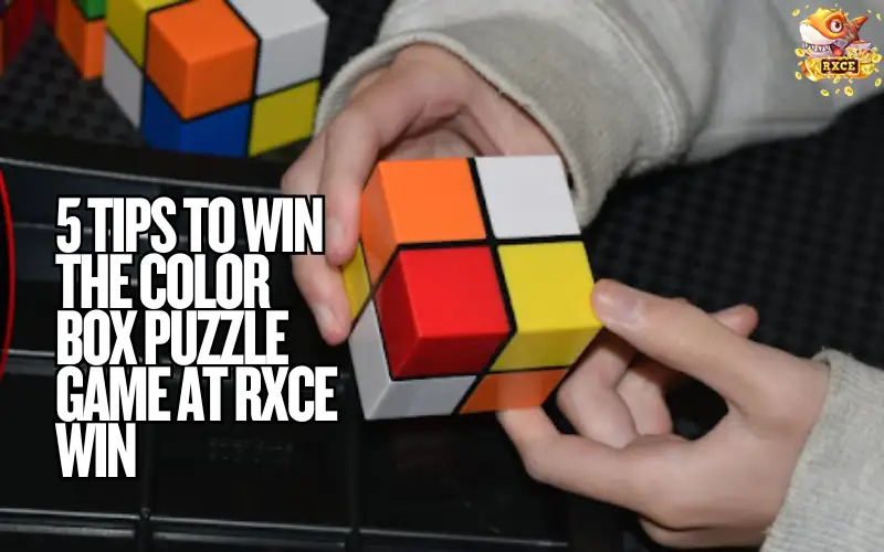 Color Box Puzzle Game